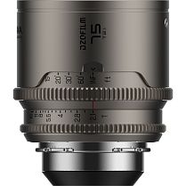 DZOFilm Arcana Anamorphic T2.1 Prime (ARRI PL)