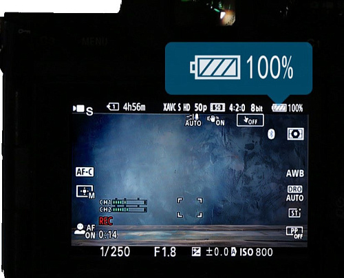 Swit PowerCell NP-FZ100